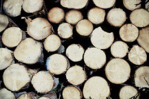 wood-599498