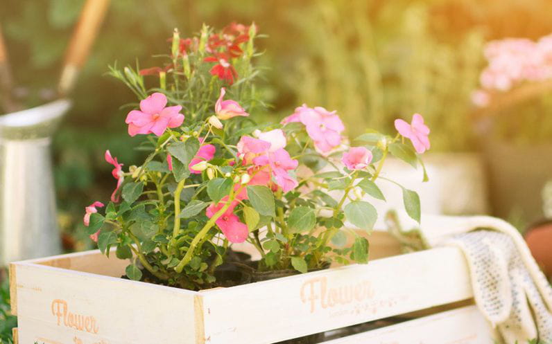 Pon tu jardín a punto para esta primavera