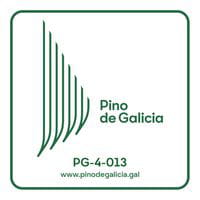 Pino de Galicia